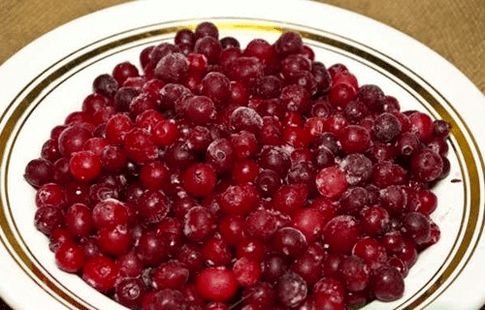brusnica za cistitis
